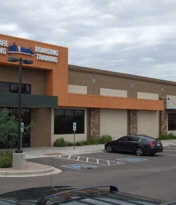 windshield glass replacement